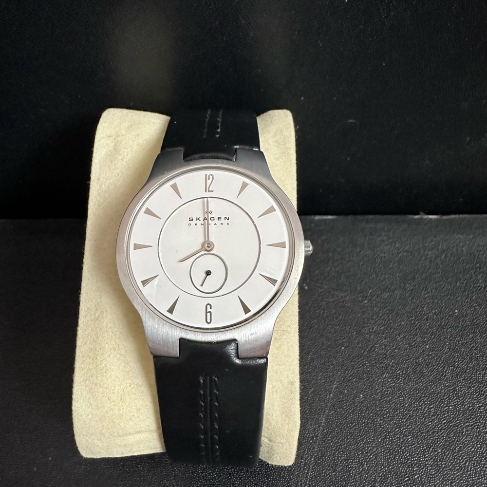 Skagen Classic Silver Dial Watch